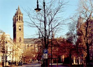 Blick auf den Magdeburger Dom